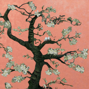 久久久国产精品
